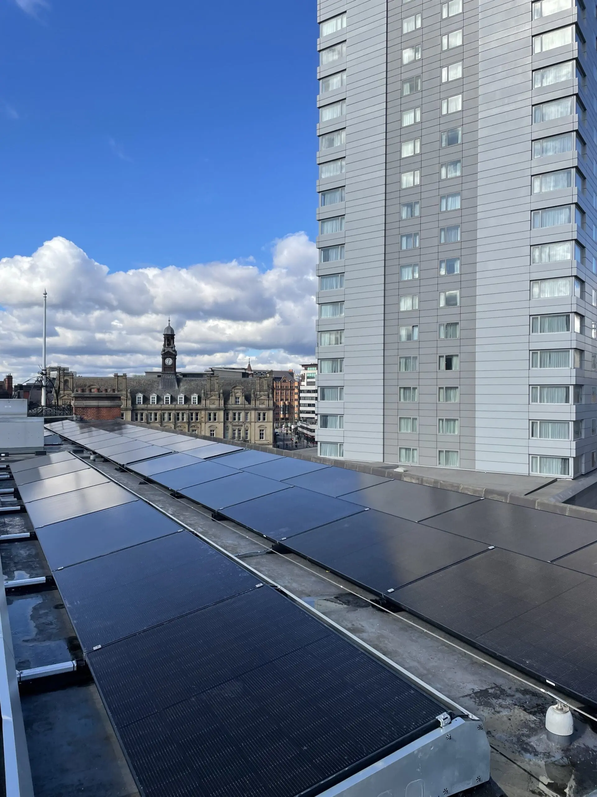 Kinrise Real Estate case study